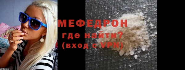 индика Богданович